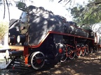 Mus-Cam TCDD-57023c