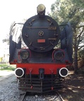 Mus-Cam TCDD-57023