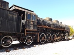 Mus-Cam TCDD-57026