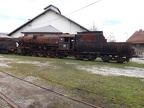 D1205 JDZ33-253 Mus-LJ