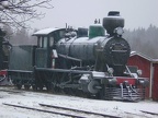 Mus-Haap Tv1-609
