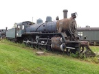 Mus-Haap Tv2-618
