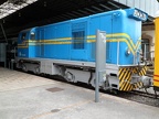 MFA V11 FEVE-1059