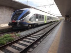FS ALe501-002b ME-Cle