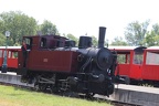 TdM005m Hen Sau