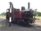 TdM005b Hen Sau