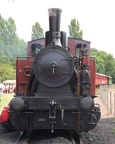 TdM005c Hen Sau