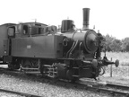 TdM005i Hen Sau