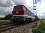 EfW 232088 Kork