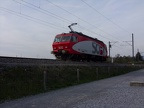 SOB E 446018 Hurd