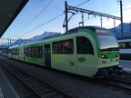 AOMC 541 Beh26 Aigle