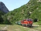 BDZ V77008 Cep