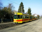 BLT 203 Dorn-A