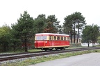 BKB VT T1j b Bw