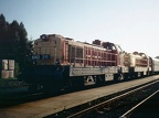 MAV V 40211 Sgotth