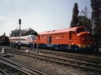 MAV V 61019 Ang