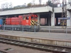 MAV V 44439 Nyu