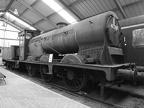 D0203 41195 sw Mald