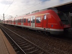 DB 430048 Herr