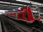 DB 445076 M-Hbf