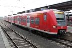 DB 425016 HOM