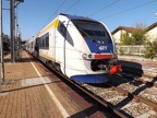 GTT3 501812 Trof