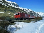 FO E 105 Rlp