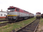751195 BA-V
