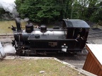 BC D05i JS 909 Mus