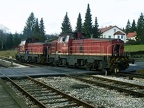 HzL V11802 Gam