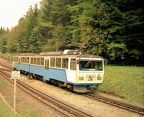 BZB ET011b Grai