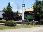 CFTR D13402 DepVo