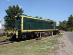 CFTR V01 Bald DepVo