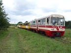 ZKD VT212c PrBrWis