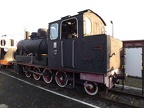 Mus-Gryf D Txn8-3811b