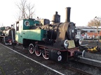Mus-Gryf D Ty6-3284