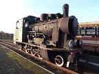 Mus-Gryf D Tyn6-3632b