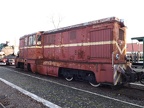 Mus-Gryf V Lxd2-462b