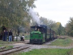 MTVS D 60o Crev