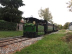 MTVS D 60p Crev