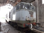 MNF E 2501c Mus-Ent
