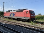 WRS E 120145b Kork