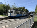 BZB ET309b Grain-B