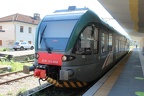 TN VT 115-006b Co-SG