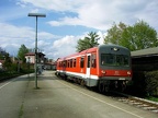 DB 628103c Fisch