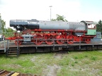 HEB 41073 MusHN