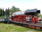 HEB 41073b MusHN