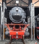 HEB 41073c MusHN