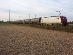 E E37520 Kork
