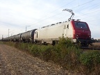 E E37520b Kork